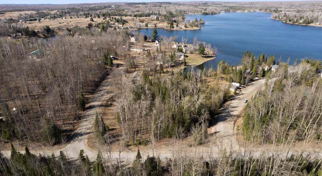Photo of 101 & 58 Lance Lake Rd, Wolverine, MI 49799