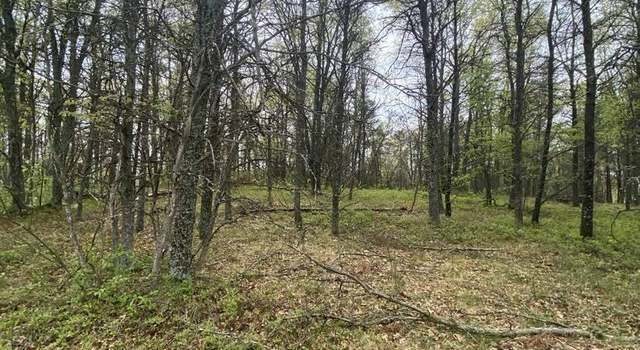 Photo of Lots 5 & 6 Maple Ridge Rd, Mio, MI 48647