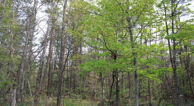 Photo of Lot #7 Hughes Lake Rd, Rose City, MI 48654