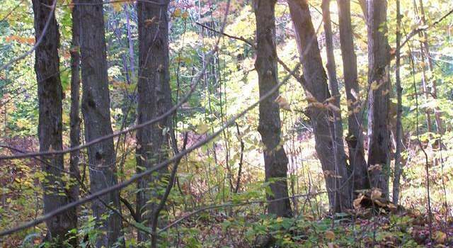 Photo of Off Walker Rd, Afton, MI 49705