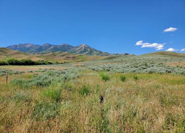 Property at Homestead Rd/appalossa Dr, Fairfield, ID 83327