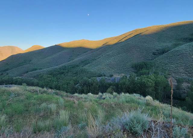 Property at 350 Broadford Rd, Blaine County, ID 83313