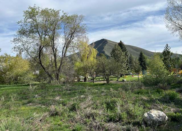 Property at 216 W Carbonate St, Hailey, ID 83333