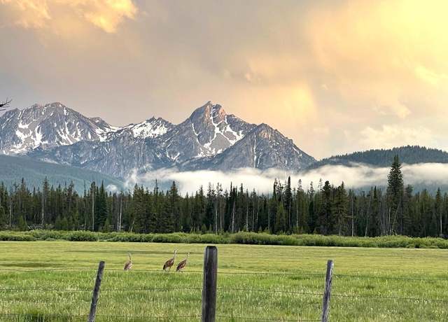 Property at Highway 21 & Cow Camp Rd, Stanley, ID 83278