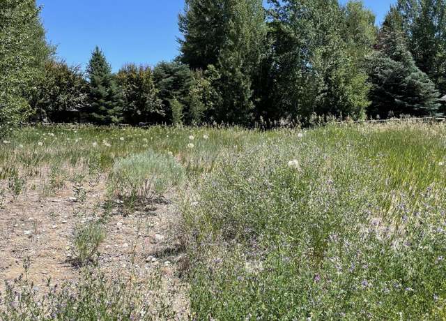 Property at 520 Angela Dr, Hailey, ID 83333