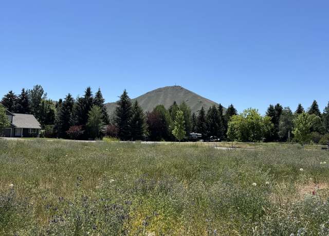 Property at 110 Sunbeam St, Hailey, ID 83333