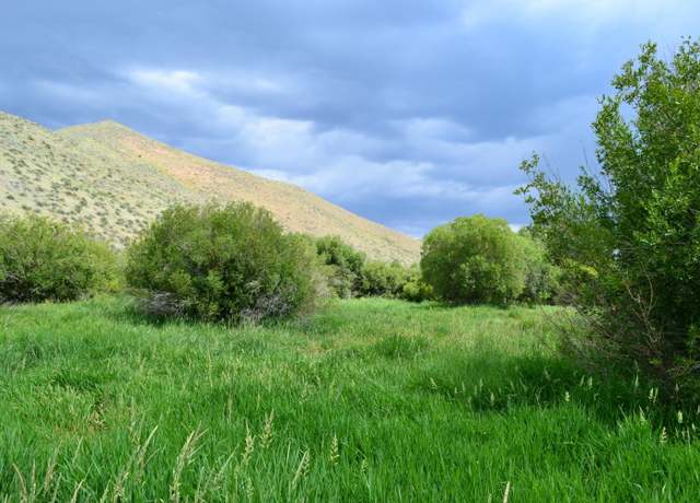 Property at 178 Hyndman View Dr, Blaine County, ID 83333