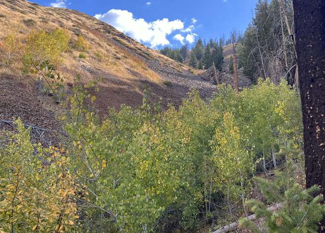 Property at 270 Greenhorn Gulch Rd, Blaine County, ID 83340