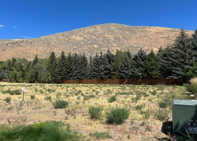 Property at 270 Sunbeam St, Hailey, ID 83333
