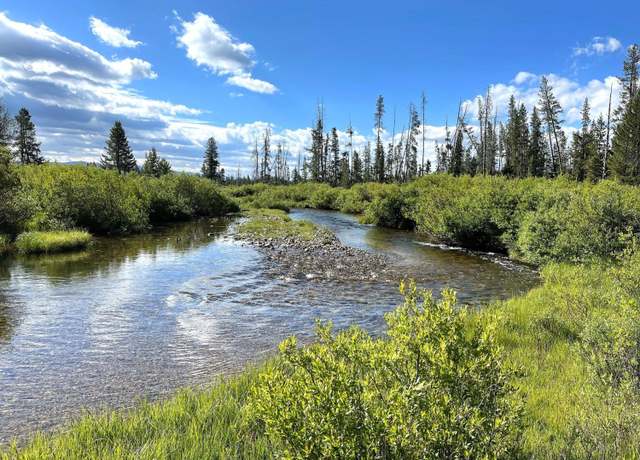 Property at Highway 21 & Cow Camp Rd #C, Stanley, ID 83278
