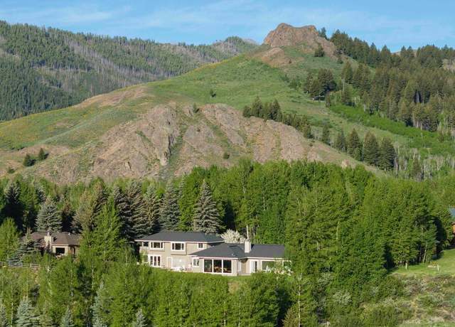 Property at 430 Thistle, Hulen Meadows Ln Unit Sublot 2, Blaine County, ID 83340, 5 beds, 6 baths
