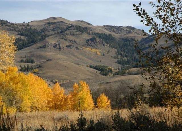 Property at HES 503 Antelope Creek Rd, Mackay, ID 83251