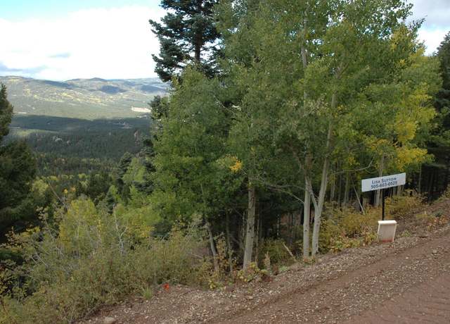 Property at 602 ch 2 Panorama Way, Angel Fire, NM 87710