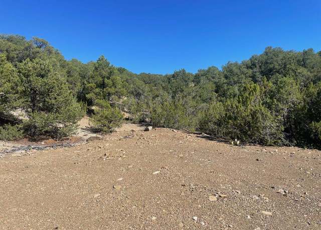 Property at Adjacent Monte Lindo Rd, Taos, NM 87571