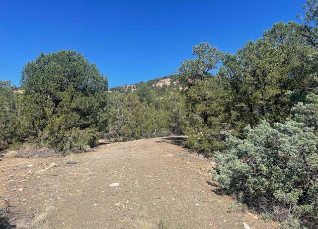 Property at Adjacent State Hwy 518, Taos, NM 87571