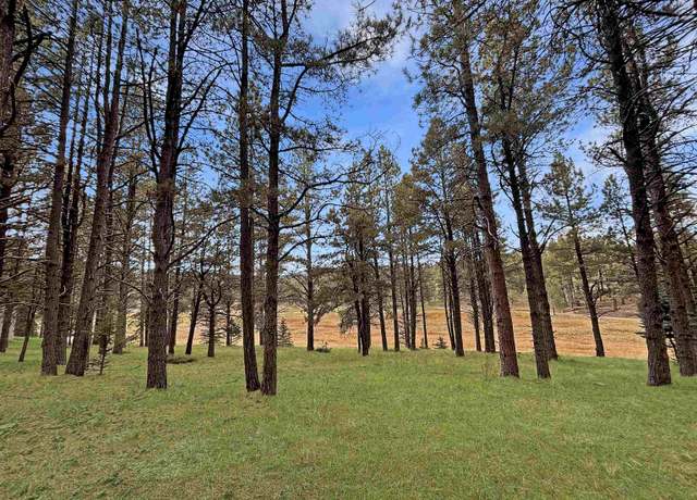 Property at Lot 1133 Spyglass Hill Rd, Angel Fire, NM 87710