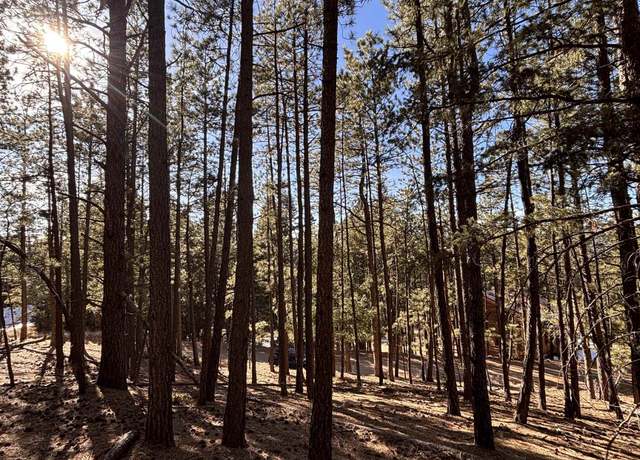Property at Lot 88 Mammoth Mountain Rd, Angel Fire, NM 87710