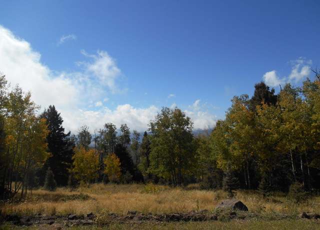 Property at Lot 1287 El Camino Real, Angel Fire, NM 87710