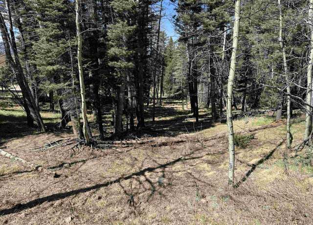 Property at 1451 El Camino Real, Angel Fire, NM 87710