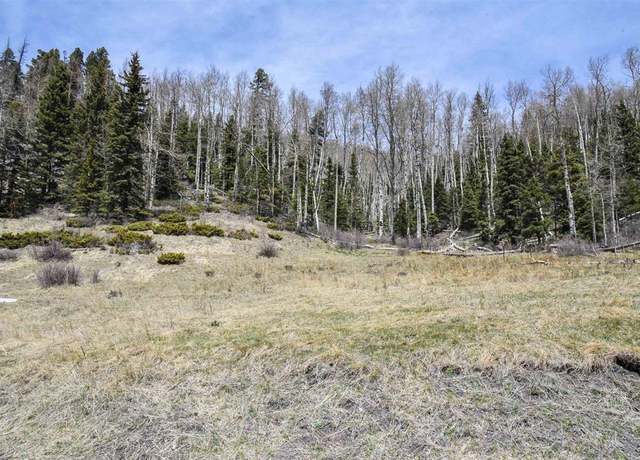 Property at Copper Creek Ests, NM 87558