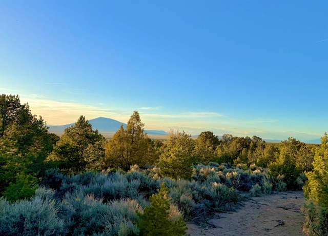 Property at Tract C Jedidiah Rd, El Rito, NM 87556