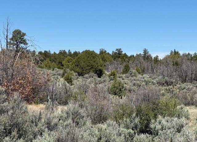 Property at TBD Calle Del Cuervo, Tres Piedras, NM 87577