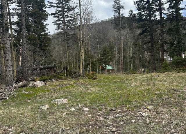 Property at Upper Red River Valley Rd, Red River, NM 87558