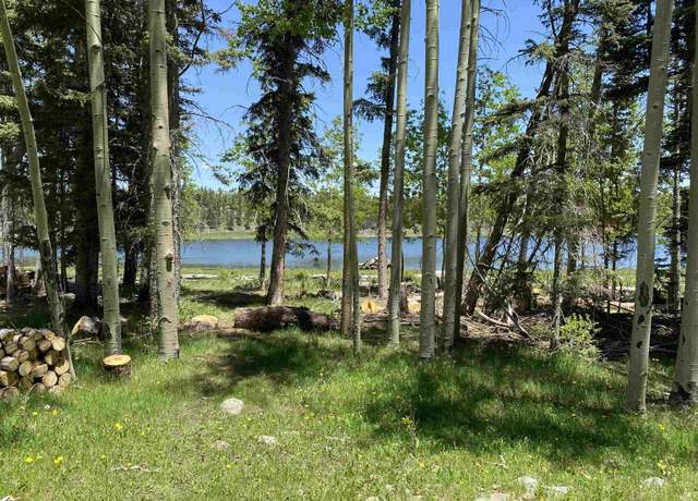 Property at Lot 40 AB Hidden Lake Cir, Angel Fire, NM 87710