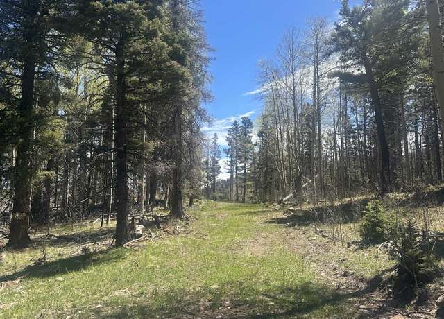 Property at Lot 86 Elk Horn Dr, Angel Fire, NM 87710