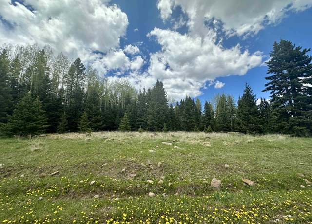 Property at Lot 15 Pleasant Meadow Dr, Angel Fire, NM 87710