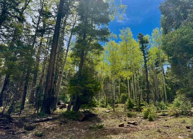 Property at Lot 455 El Camino Real, Angel Fire, NM 87710