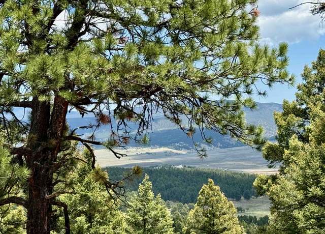 Property at Lot 66 Taos Pines Ranch Rd, Angel Fire, NM 87710