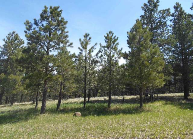 Property at Lot 7, Angel Fire, NM 87710