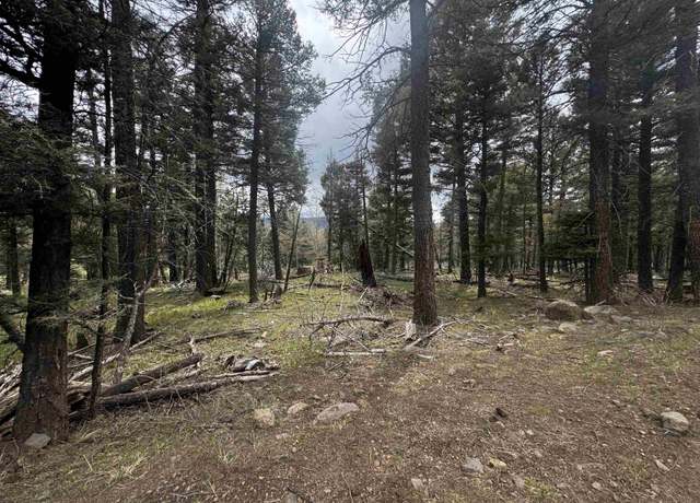 Property at 1222 Rainbow Overlook, Angel Fire, NM 87710