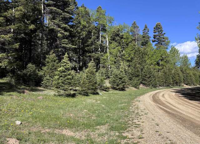 Property at Lot 161 Back Basin Rd, Angel Fire, NM 87710