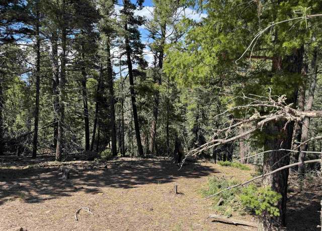 Property at Lot 1662 El Vado Way, Angel Fire, NM 87710