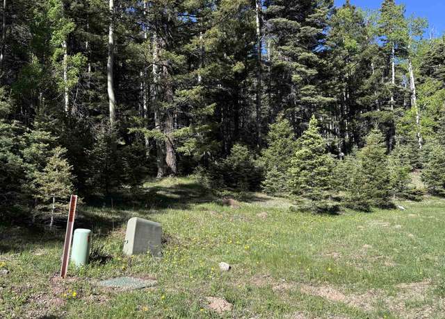Property at Lot 160 Back Basin Rd, Angel Fire, NM 87710