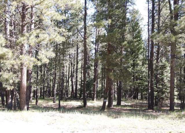 Property at Lot 153 San Andres Dr, Angel Fire, NM 87710