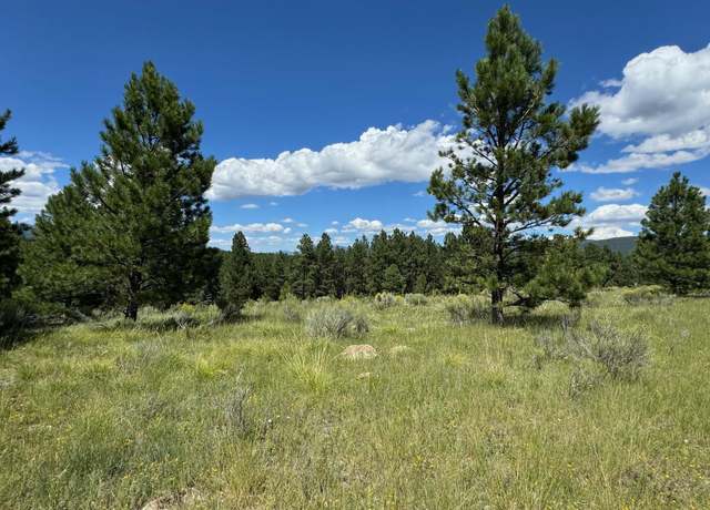 Property at Lot 458 San Mateo, Angel Fire, NM 87710