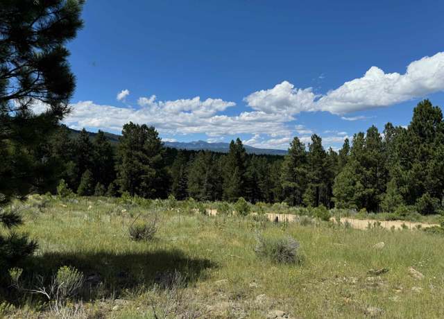 Property at Lot 459 San Mateo, Angel Fire, NM 87710