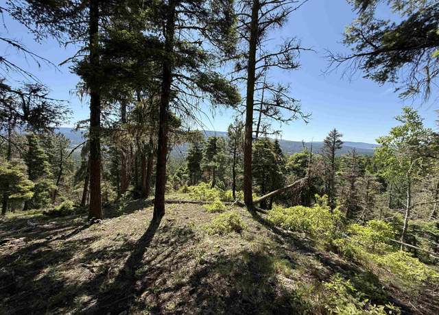Property at Lot 36 Brazos, Angel Fire, NM 87710