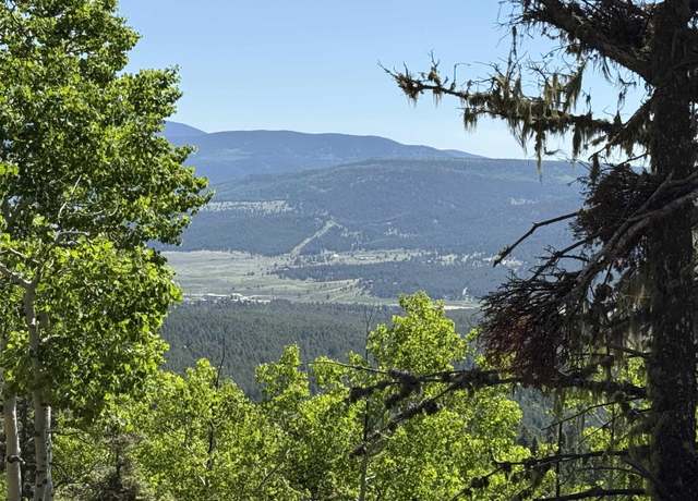 Property at Lot 37 Brazos, Angel Fire, NM 87710