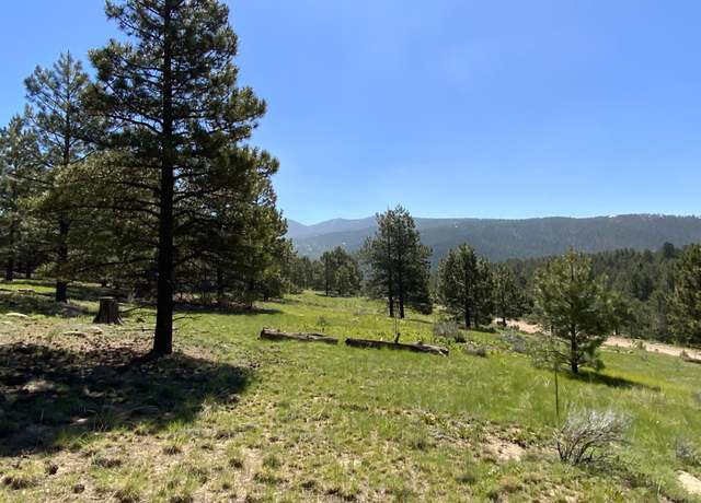 Property at Lot 1270 Torrey Pnes, Angel Fire, NM 87710