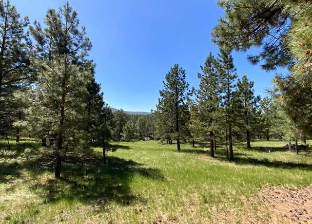 Property at Lot 1268 Torrey Pnes, Angel Fire, NM 87710