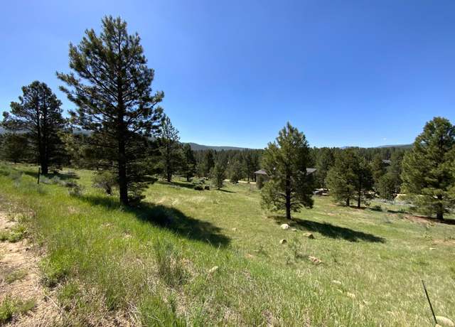 Property at Lot 1263 Torrey Pnes, Angel Fire, NM 87710