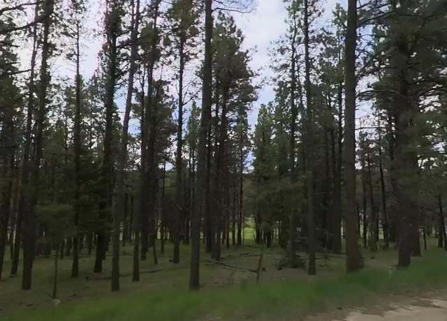 Property at Lot 1322 Brazos Dr, Angel Fire, NM 87710