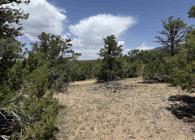 Property at XX Bret Hale Rd, Valdez, NM 87580