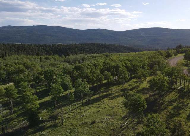 Property at Lot 111 Beaver Loop, Angel Fire, NM 87710