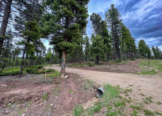Property at 19 Summit Pl, Angel Fire, NM 87710