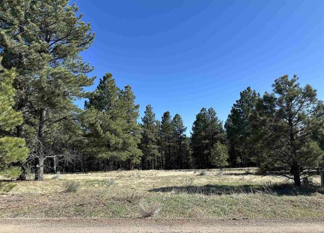 Property at Valley Rd, Angel Fire, NM 87710